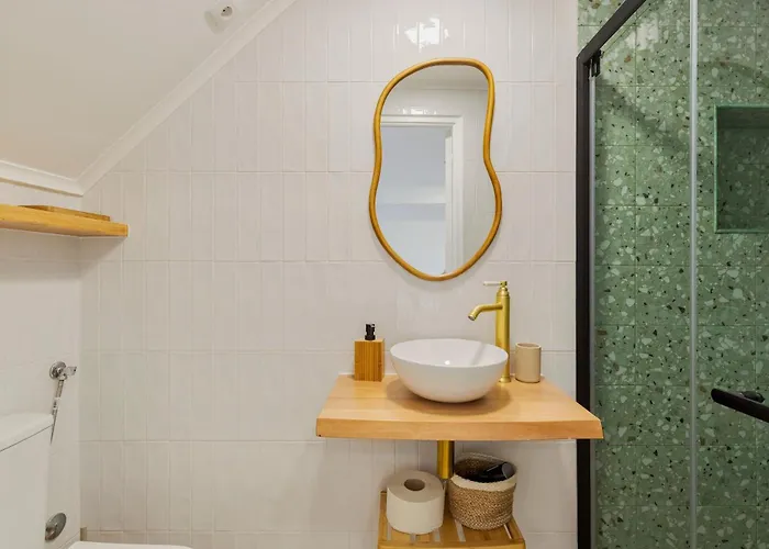 Felp Santa Maria 1 *